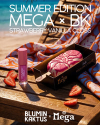 Strawberry Vanilla Juicy Bloom Gloss with its pink carton, matching Mega treat and strawberries