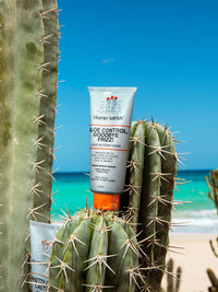 Aloe Control, Goodbye Frizz! Leave-in Conditioner