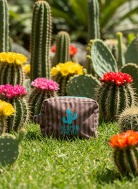 كيس بني كاكتيليشوس