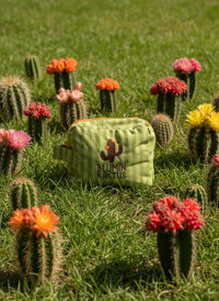 كيس كاكتيليشوس الأخضر